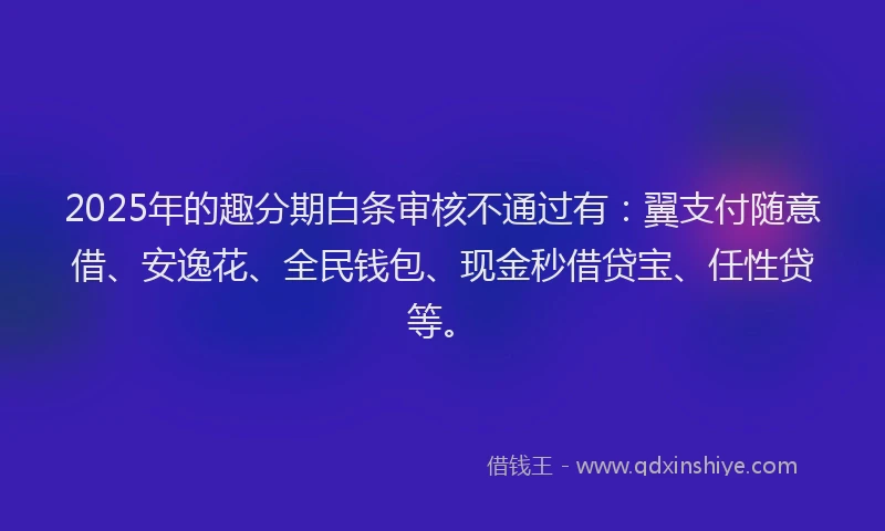 2025年的趣分期白条审核不通过有：翼支付随意借、安逸花、全民钱包、现金秒借贷宝、任性贷等。