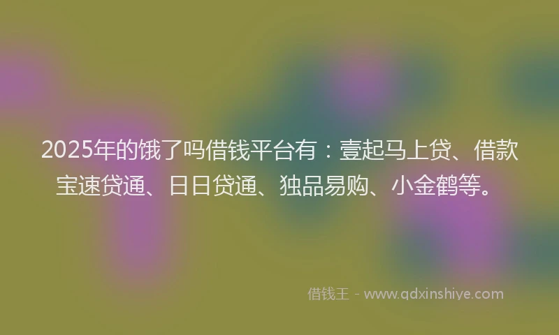 2025年的饿了吗借钱平台有：壹起马上贷、借款宝速贷通、日日贷通、独品易购、小金鹤等。