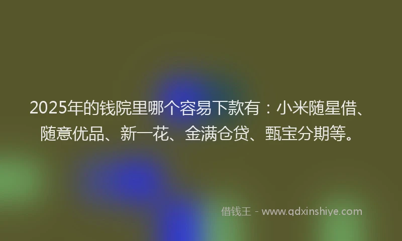 2025年的钱院里哪个容易下款有：小米随星借、随意优品、新一花、金满仓贷、甄宝分期等。