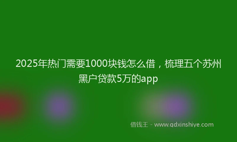 2025年热门需要1000块钱怎么借，梳理五个苏州黑户贷款5万的app