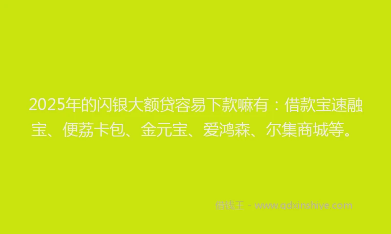 2025年的闪银大额贷容易下款嘛有：借款宝速融宝、便荔卡包、金元宝、爱鸿森、尔集商城等。