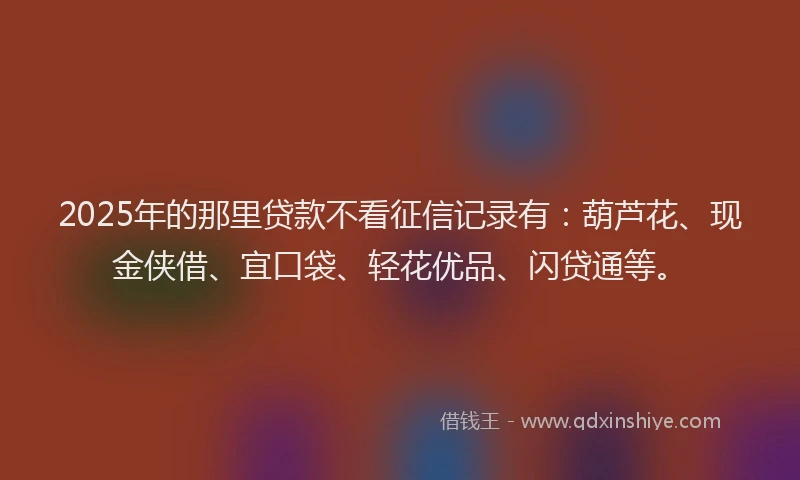 2025年的那里贷款不看征信记录有：葫芦花、现金侠借、宜口袋、轻花优品、闪贷通等。