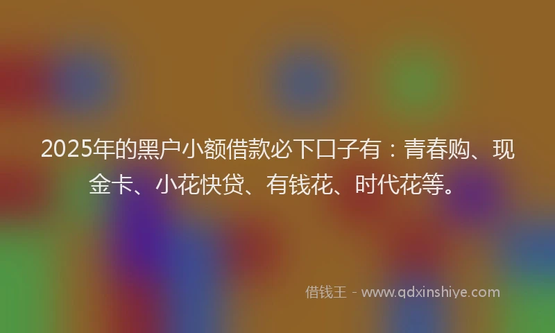 2025年的黑户小额借款必下口子有：青春购、现金卡、小花快贷、有钱花、时代花等。