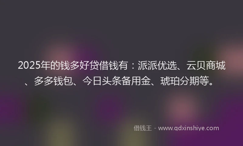 2025年的钱多好贷借钱有：派派优选、云贝商城、多多钱包、今日头条备用金、琥珀分期等。