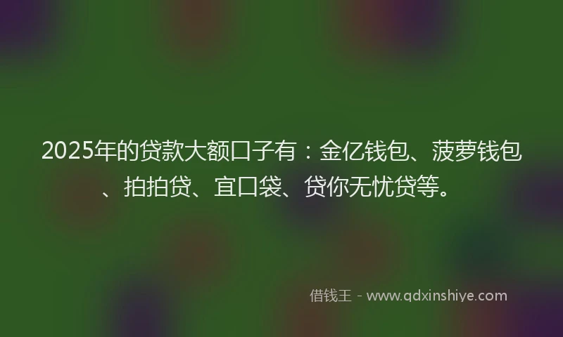 2025年的贷款大额口子有：金亿钱包、菠萝钱包、拍拍贷、宜口袋、贷你无忧贷等。