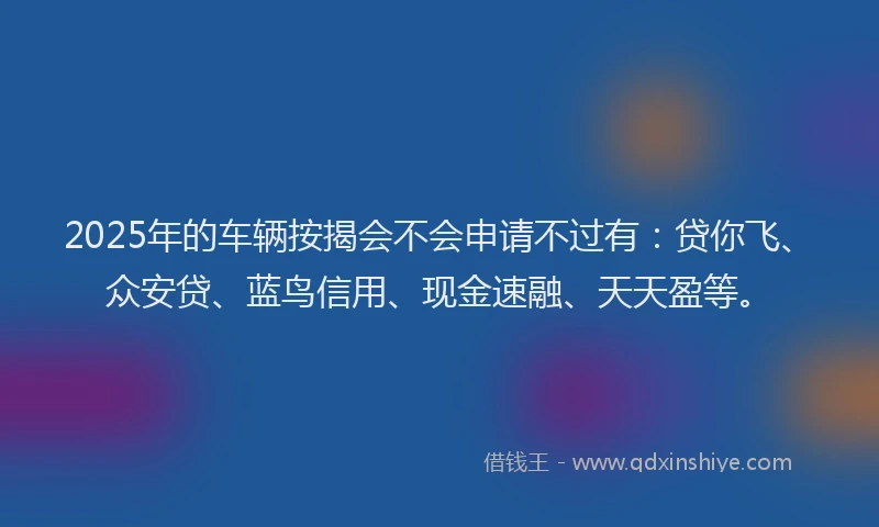 2025年的车辆按揭会不会申请不过有：贷你飞、众安贷、蓝鸟信用、现金速融、天天盈等。