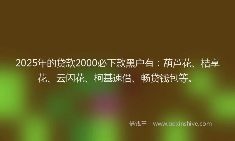 2025年的贷款2000必下款黑户有：葫芦花、桔享花、云闪花、柯基速借、畅贷钱包等。
