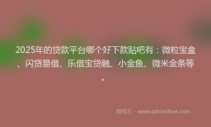2025年的贷款平台哪个好下款贴吧有：微粒宝盒、闪贷易借、乐借宝贷融、小金鱼、微米金条等。