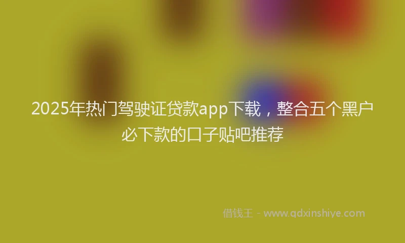 2025年热门驾驶证贷款app下载，整合五个黑户必下款的口子贴吧推荐