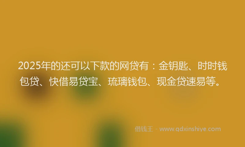 2025年的还可以下款的网贷有：金钥匙、时时钱包贷、快借易贷宝、琉璃钱包、现金贷速易等。