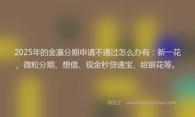 2025年的金瀛分期申请不通过怎么办有：新一花、微粒分期、想借、现金秒贷通宝、哈银花等。