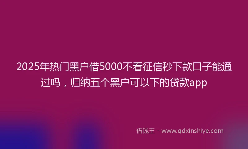 2025年热门黑户借5000不看征信秒下款口子能通过吗，归纳五个黑户可以下的贷款app