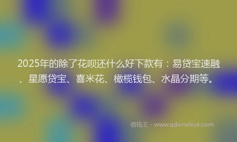 2025年的除了花呗还什么好下款有：易贷宝速融、星愿贷宝、喜米花、橄榄钱包、水晶分期等。