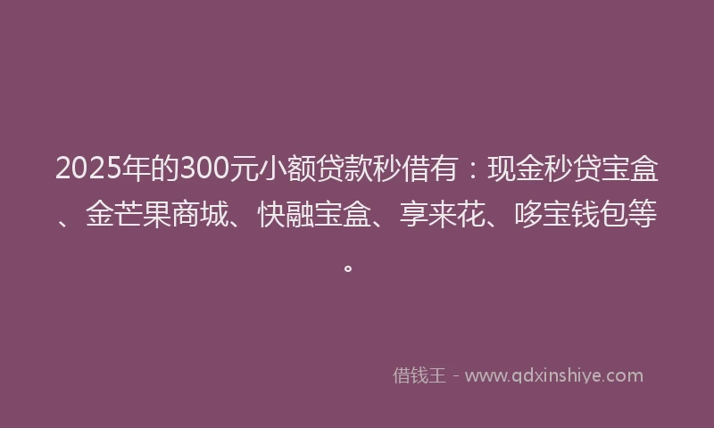 2025年的300元小额贷款秒借有：现金秒贷宝盒、金芒果商城、快融宝盒、享来花、哆宝钱包等。