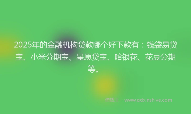 2025年的金融机构贷款哪个好下款有：钱袋易贷宝、小米分期宝、星愿贷宝、哈银花、花豆分期等。