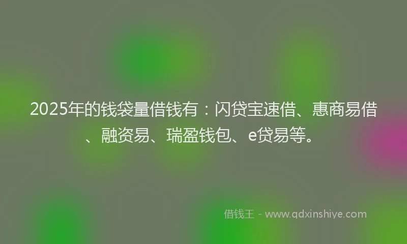 2025年的钱袋量借钱有：闪贷宝速借、惠商易借、融资易、瑞盈钱包、e贷易等。