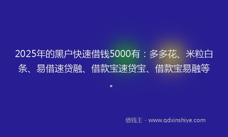 2025年的黑户快速借钱5000有：多多花、米粒白条、易借速贷融、借款宝速贷宝、借款宝易融等。