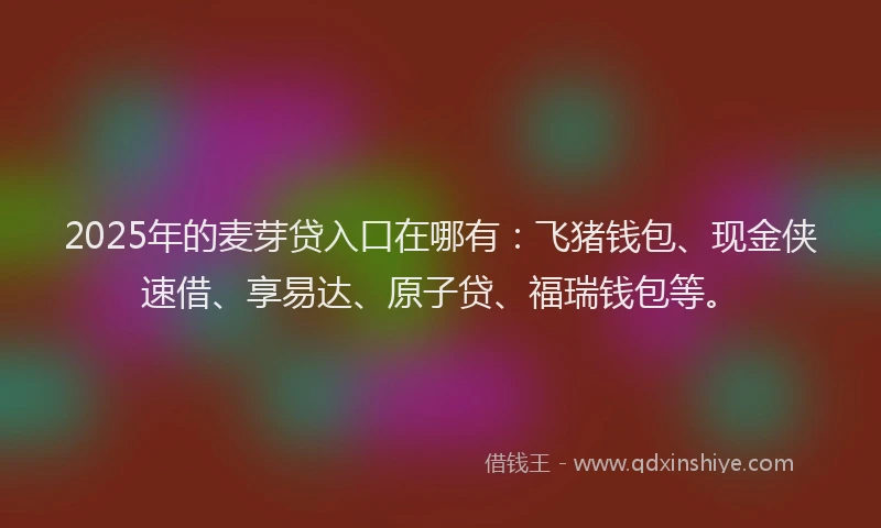 2025年的麦芽贷入口在哪有：飞猪钱包、现金侠速借、享易达、原子贷、福瑞钱包等。