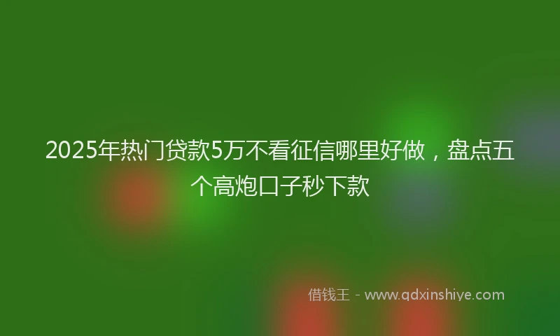 2025年热门贷款5万不看征信哪里好做，盘点五个高炮口子秒下款