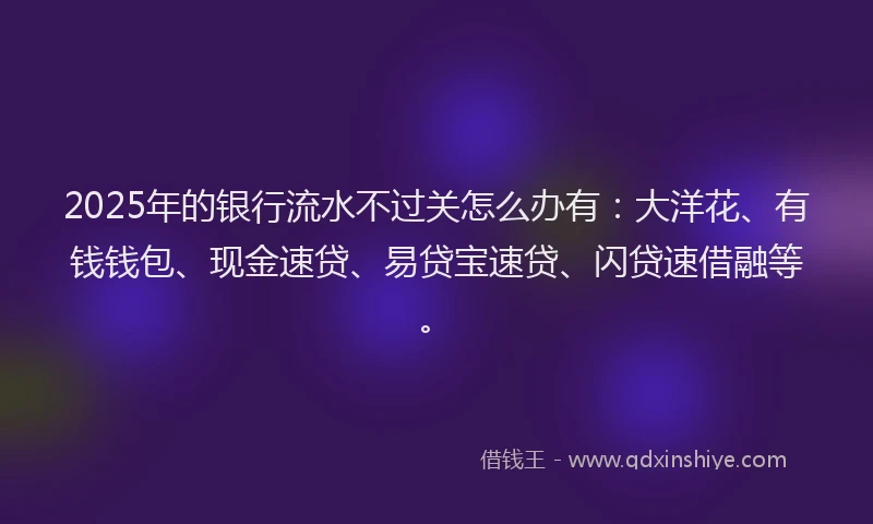 2025年的银行流水不过关怎么办有：大洋花、有钱钱包、现金速贷、易贷宝速贷、闪贷速借融等。