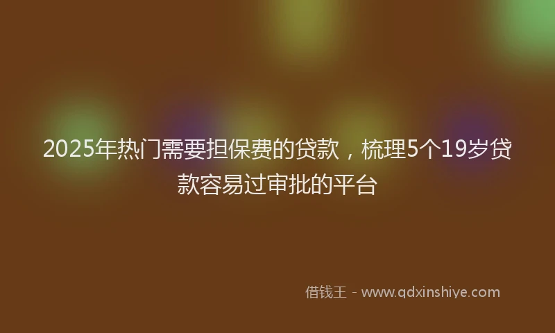 2025年热门需要担保费的贷款，梳理5个19岁贷款容易过审批的平台