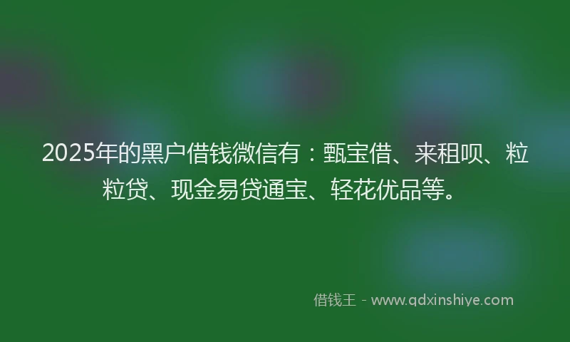 2025年的黑户借钱微信有：甄宝借、来租呗、粒粒贷、现金易贷通宝、轻花优品等。