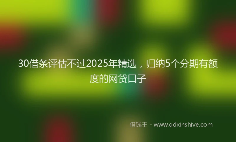 30借条评估不过2025年精选，归纳5个分期有额度的网贷口子