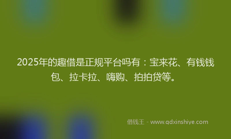 2025年的趣借是正规平台吗有：宝来花、有钱钱包、拉卡拉、嗨购、拍拍贷等。