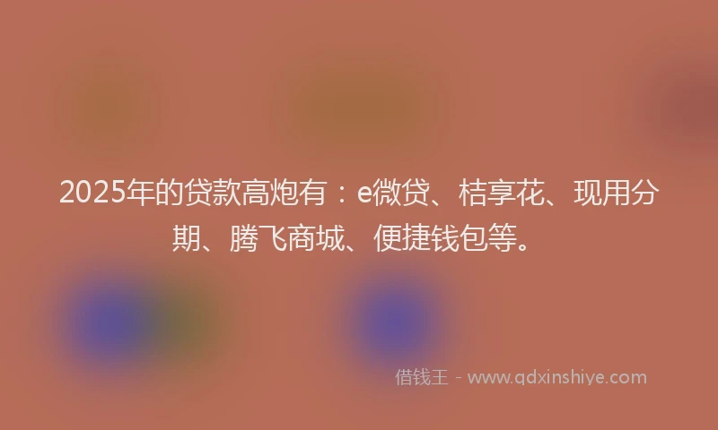 2025年的贷款高炮有：e微贷、桔享花、现用分期、腾飞商城、便捷钱包等。