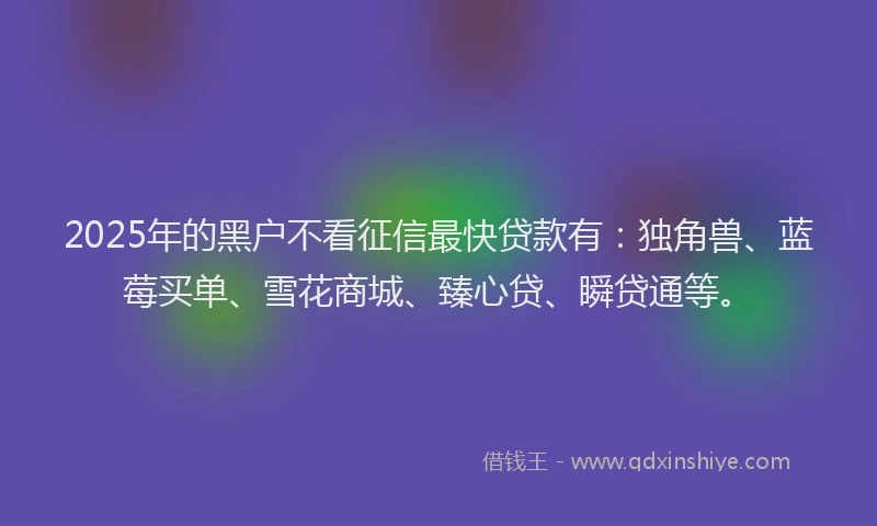 2025年的黑户不看征信最快贷款有：独角兽、蓝莓买单、雪花商城、臻心贷、瞬贷通等。