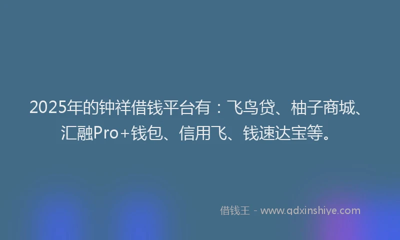 2025年的钟祥借钱平台有：飞鸟贷、柚子商城、汇融Pro+钱包、信用飞、钱速达宝等。
