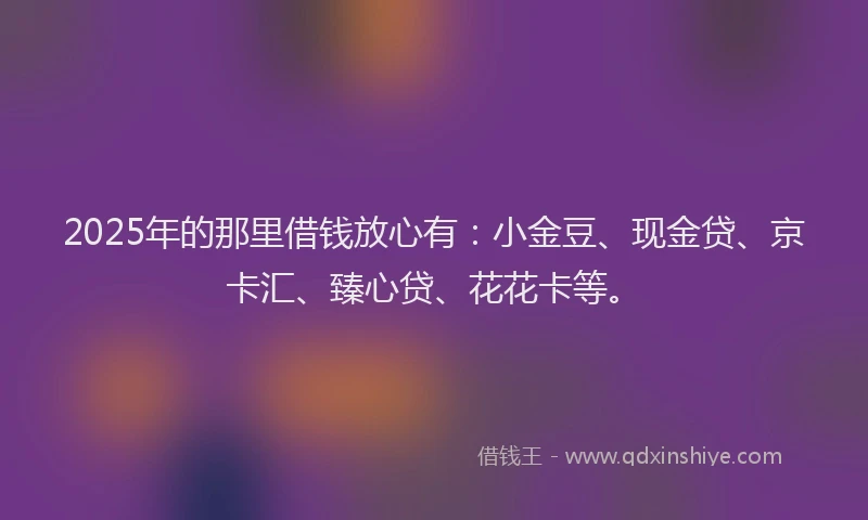2025年的那里借钱放心有：小金豆、现金贷、京卡汇、臻心贷、花花卡等。
