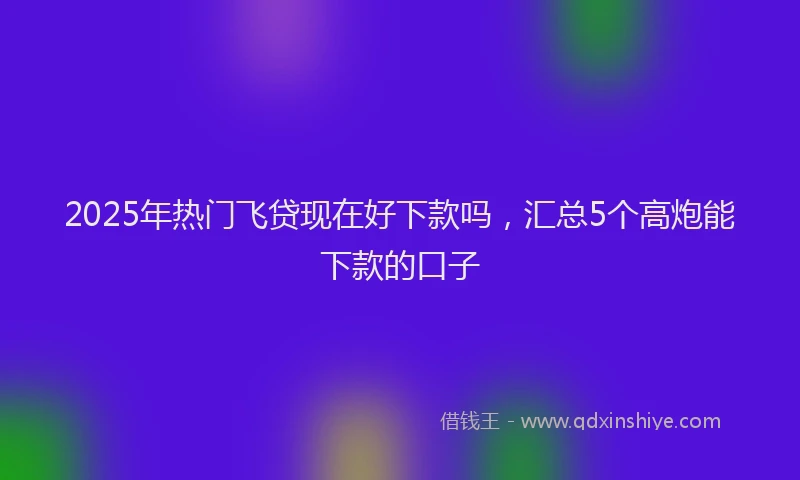2025年热门飞贷现在好下款吗，汇总5个高炮能下款的口子