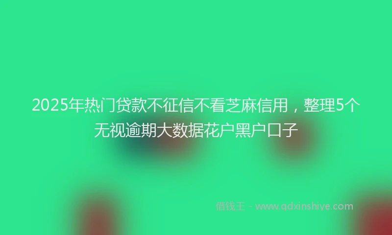 2025年热门贷款不征信不看芝麻信用，整理5个无视逾期大数据花户黑户口子