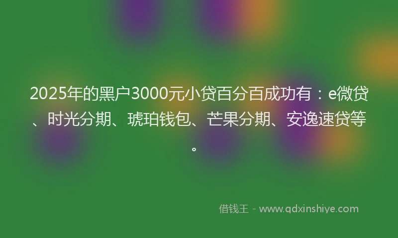 2025年的黑户3000元小贷百分百成功有：e微贷、时光分期、琥珀钱包、芒果分期、安逸速贷等。