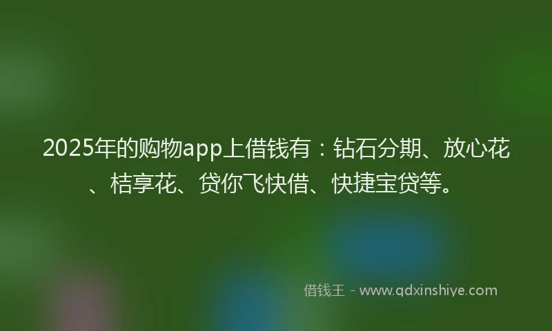 2025年的购物app上借钱有：钻石分期、放心花、桔享花、贷你飞快借、快捷宝贷等。