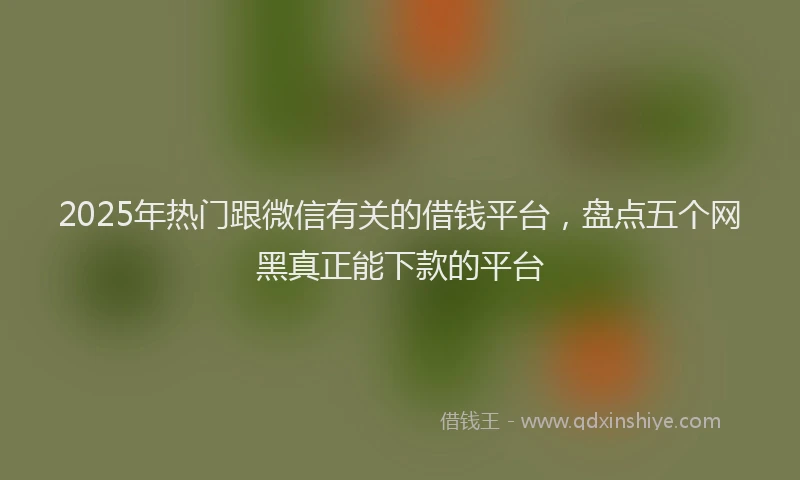 2025年热门跟微信有关的借钱平台，盘点五个网黑真正能下款的平台