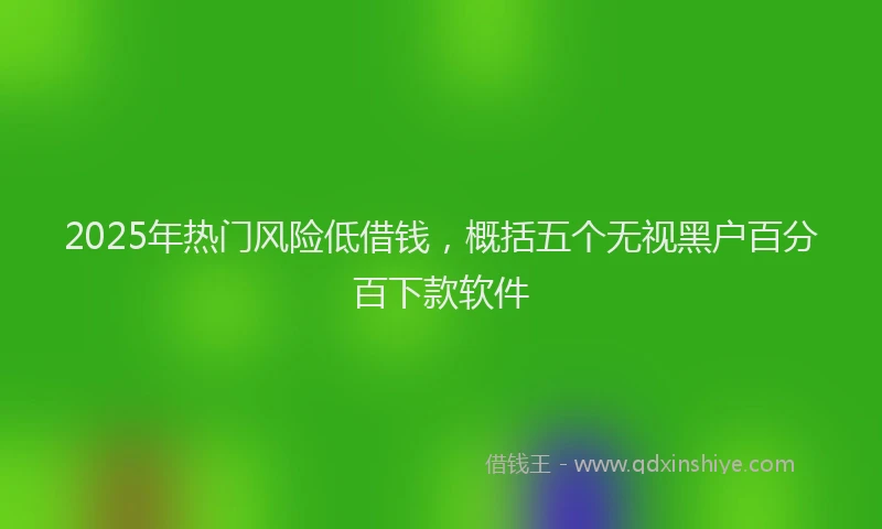 2025年热门风险低借钱，概括五个无视黑户百分百下款软件