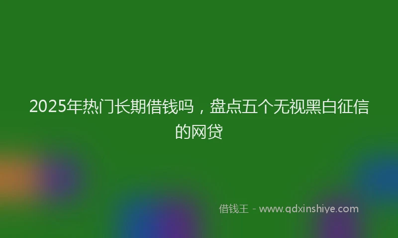 2025年热门长期借钱吗，盘点五个无视黑白征信的网贷
