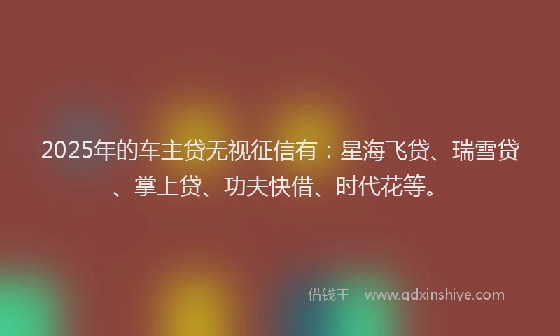 2025年的车主贷无视征信有：星海飞贷、瑞雪贷、掌上贷、功夫快借、时代花等。