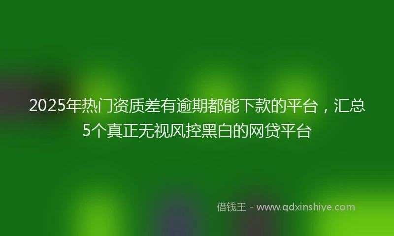 2025年热门资质差有逾期都能下款的平台，汇总5个真正无视风控黑白的网贷平台