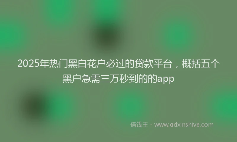 2025年热门黑白花户必过的贷款平台，概括五个黑户急需三万秒到的的app