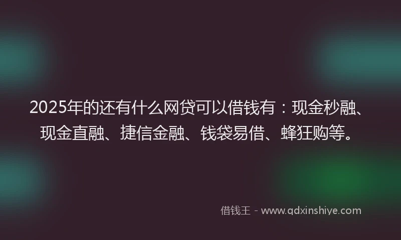 2025年的还有什么网贷可以借钱有：现金秒融、现金直融、捷信金融、钱袋易借、蜂狂购等。
