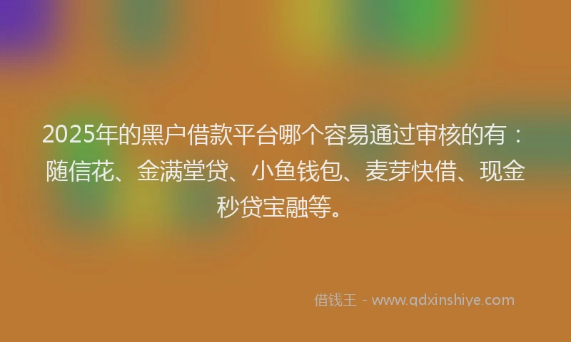 2025年的黑户借款平台哪个容易通过审核的有：随信花、金满堂贷、小鱼钱包、麦芽快借、现金秒贷宝融等。