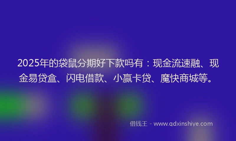 2025年的袋鼠分期好下款吗有：现金流速融、现金易贷盒、闪电借款、小赢卡贷、魔快商城等。