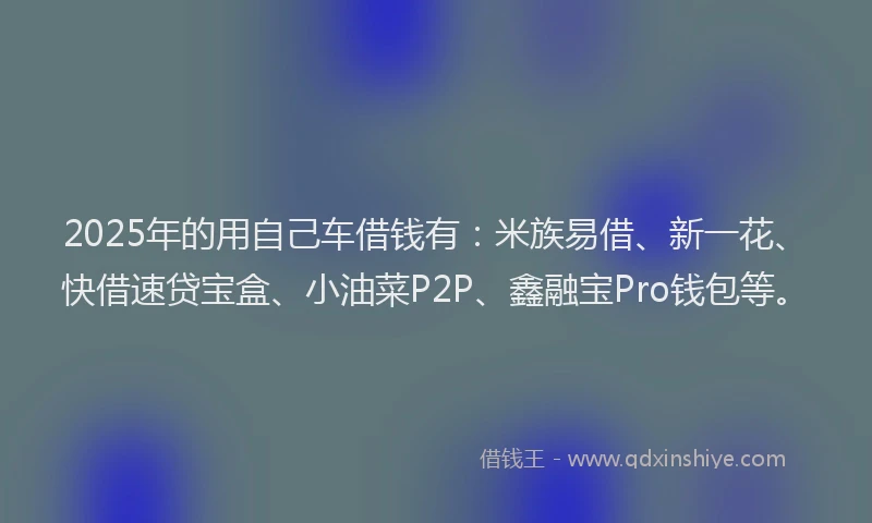 2025年的用自己车借钱有：米族易借、新一花、快借速贷宝盒、小油菜P2P、鑫融宝Pro钱包等。