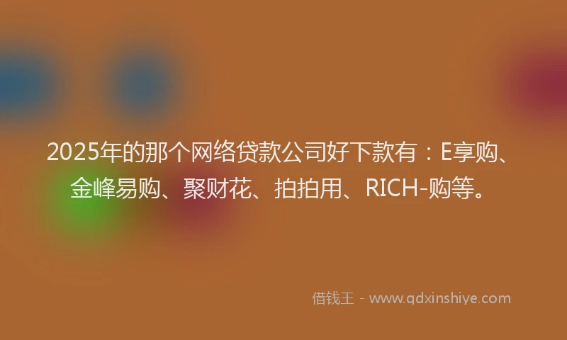 2025年的那个网络贷款公司好下款有：E享购、金峰易购、聚财花、拍拍用、RICH-购等。