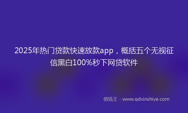 2025年热门贷款快速放款app，概括五个无视征信黑白100%秒下网贷软件