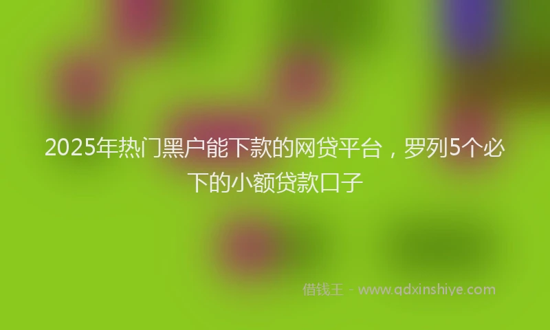 2025年热门黑户能下款的网贷平台，罗列5个必下的小额贷款口子