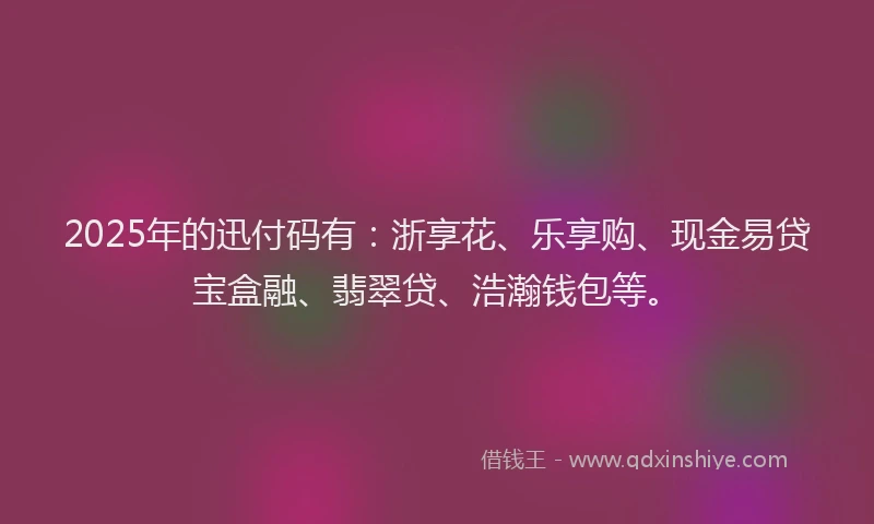 2025年的迅付码有：浙享花、乐享购、现金易贷宝盒融、翡翠贷、浩瀚钱包等。